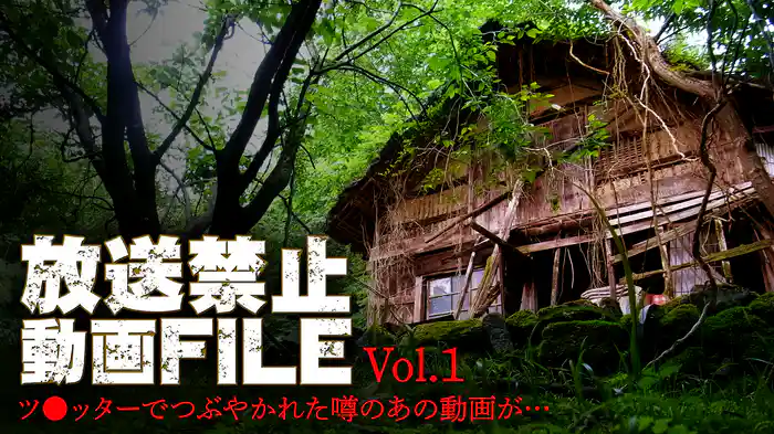 放送禁止動画FILE Vol.1 ツ●ッターでつぶやかれた噂のあの動画が・・・
