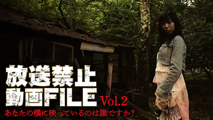放送禁止動画FILE Vol.2 あなたの横に映っているのは誰ですか？