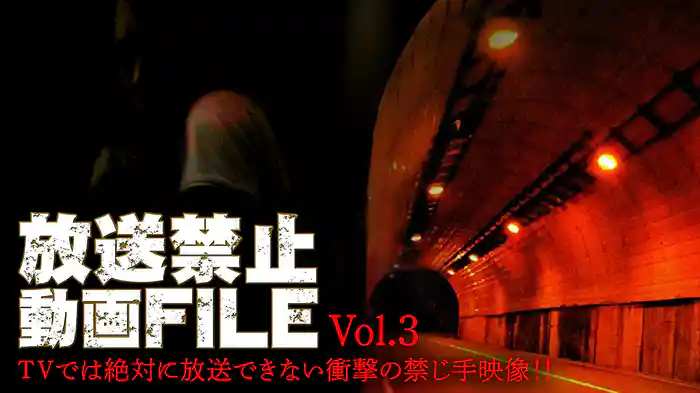 放送禁止動画FILE Vol.3 ＴＶでは絶対に放送できない衝撃の禁じ手映像！！