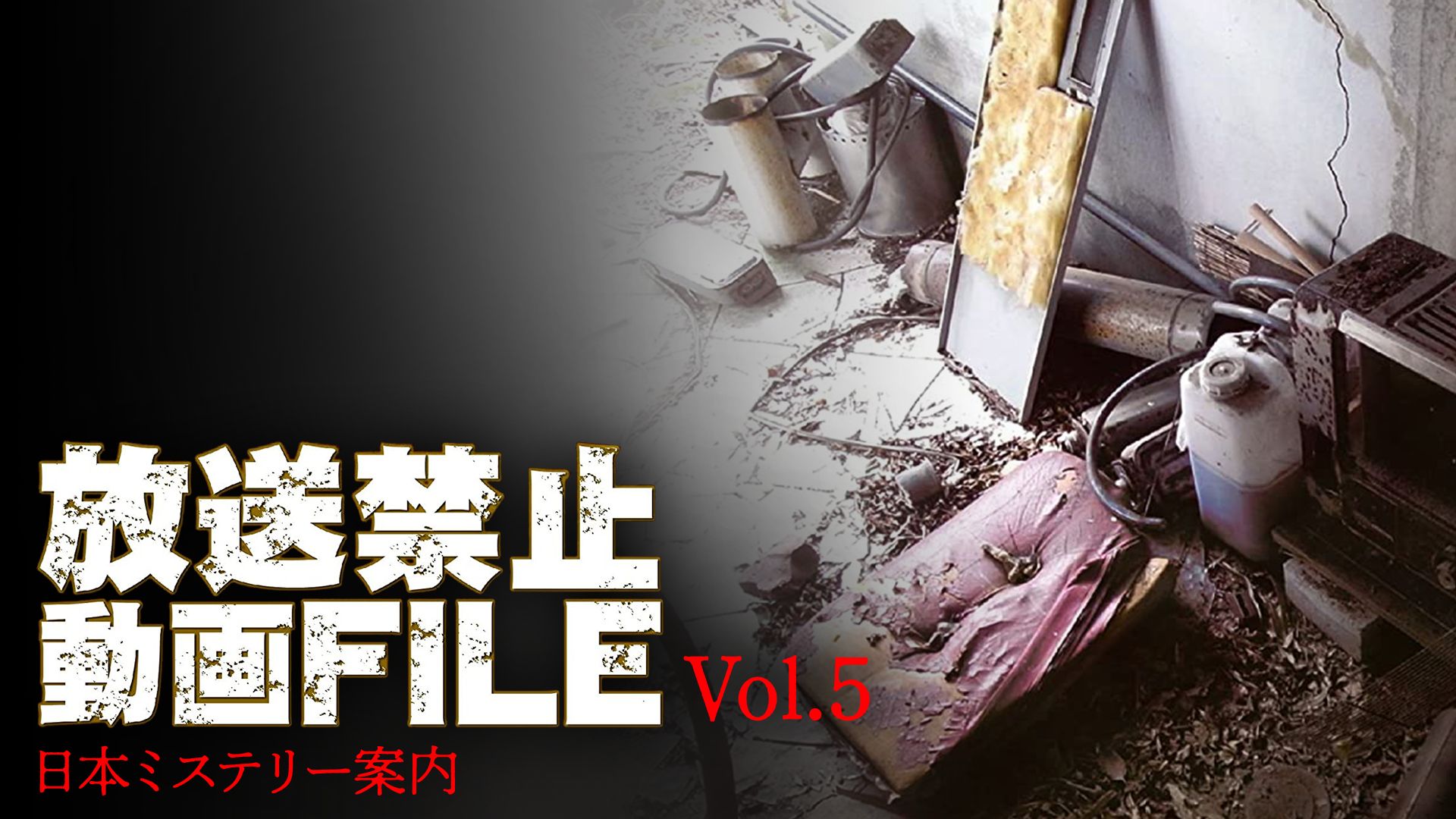 放送禁止動画FILE Vol.5