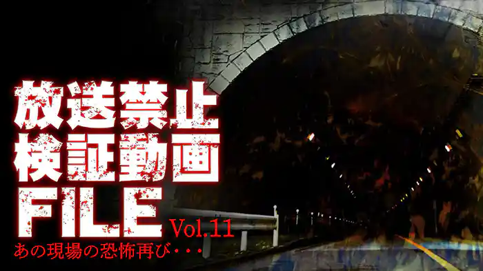 放送禁止検証動画FILE Vol.11 あの現場の恐怖再び・・・