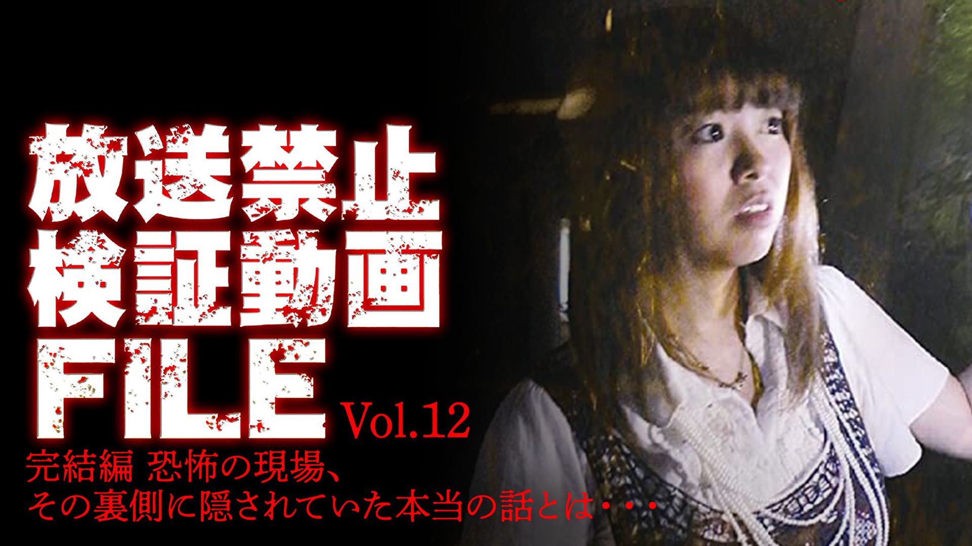 放送禁止動画FILE Vol.12