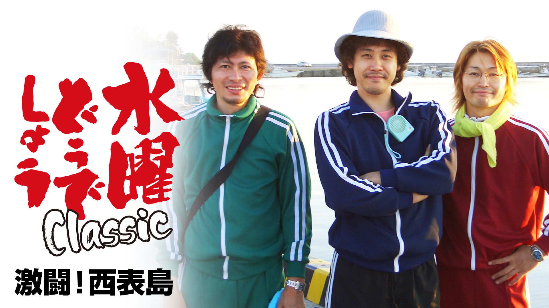 DVD 水曜どうでしょう 第8弾 「激闘!西表島」 - DVD