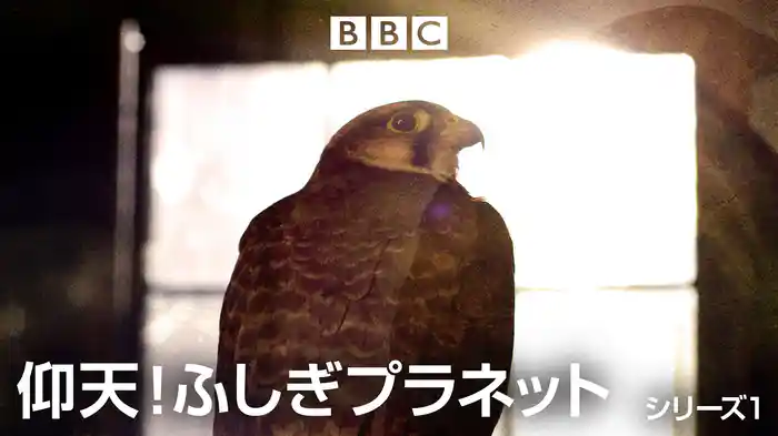 仰天！ふしぎプラネット シリーズ1