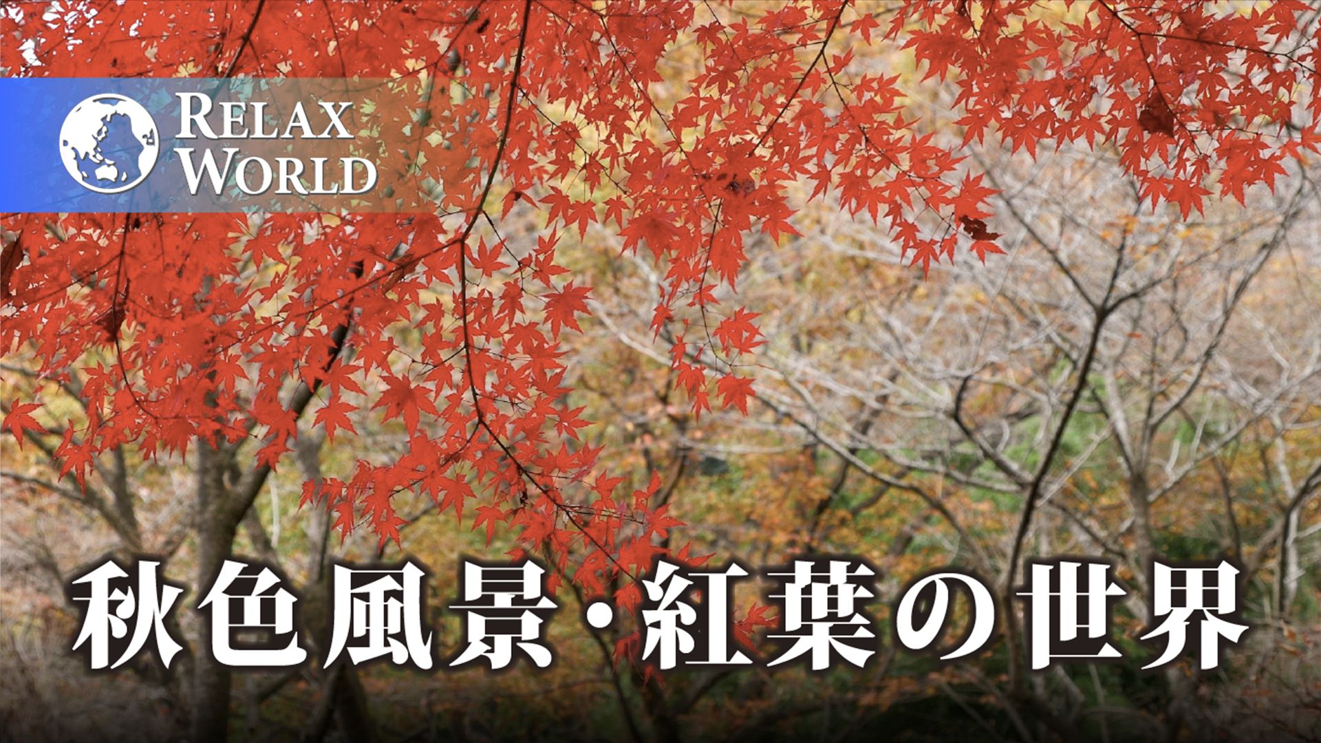 秋色風景・紅葉の世界【RELAX WORLD】