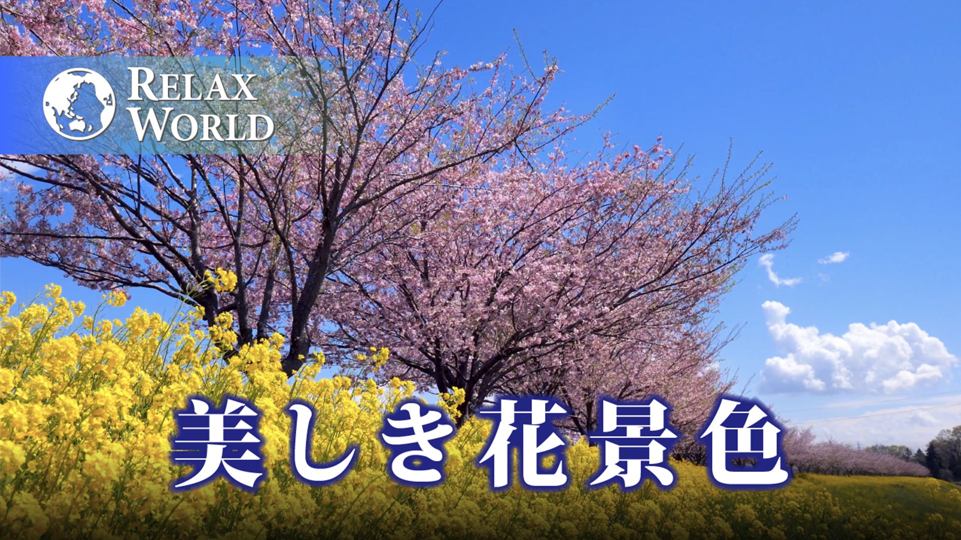 美しき花景色【RELAX WORLD】