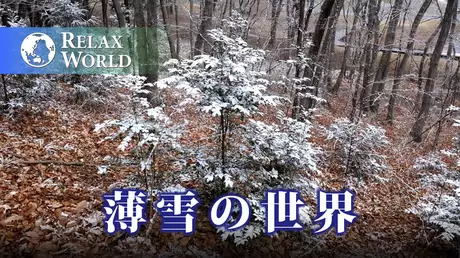 薄雪の世界【RELAX WORLD】
