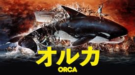 オルカ 洋画 1977 の動画視聴 U Next 31日間無料トライアル オルカ 洋画 1977 の動画視聴 U Next 31日間無料トライアル