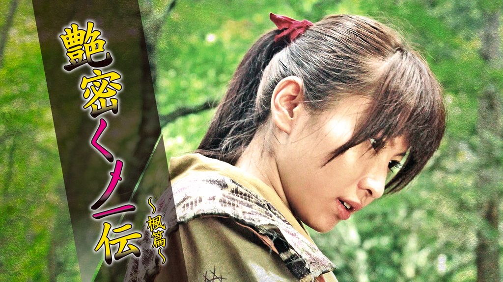 歯科麻酔学 第8版（裁断済み）