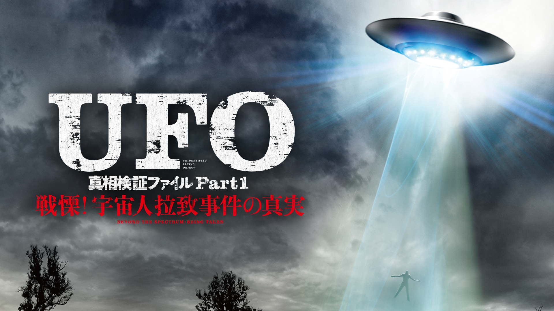 UFO 真相検証ファイル Part1戦慄！宇宙人拉致事件の真実(洋画 / 2018) - 動画配信 | U-NEXT 31日間無料トライアル