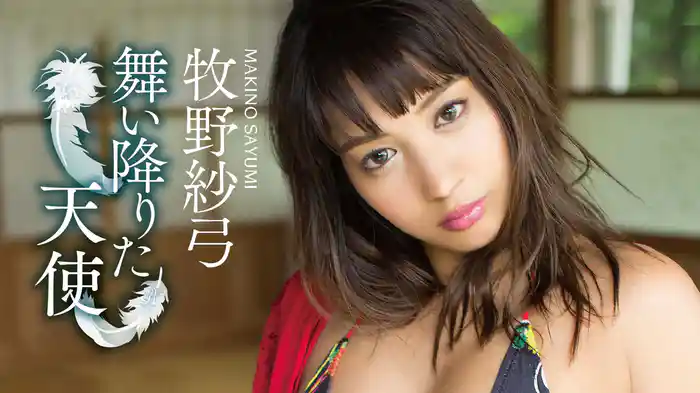 牧野紗弓『舞い降りた天使』