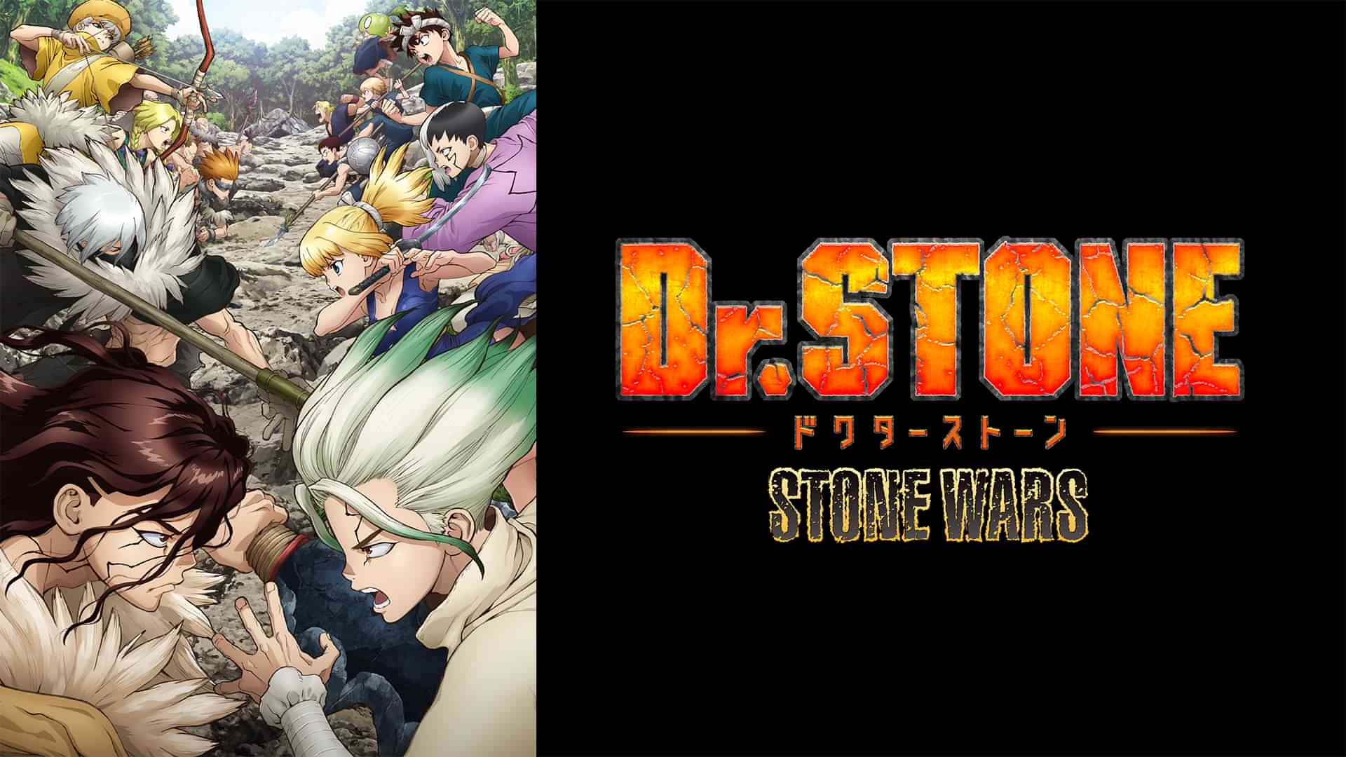 Dr.STONE STONE WARS