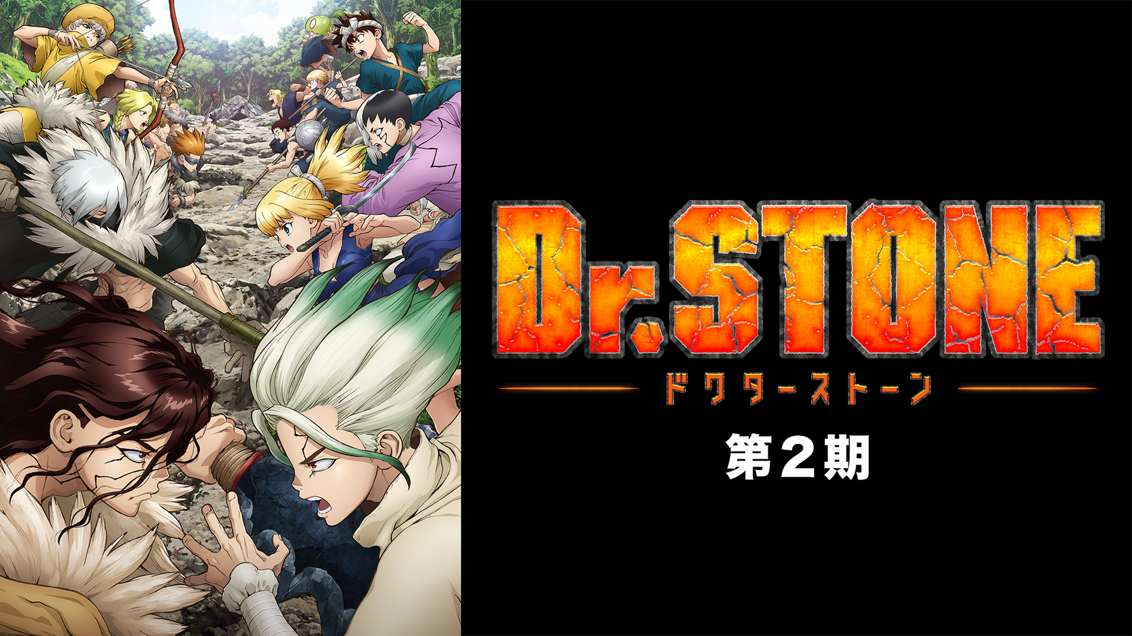 ｄｒ ｓｔｏｎｅ 第１期の動画視聴 あらすじ U Next