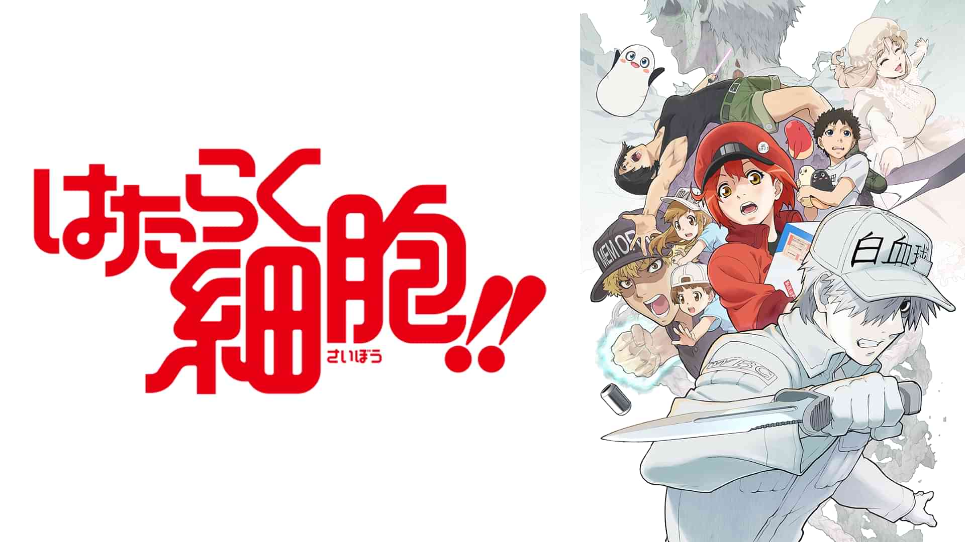 はたらく細胞!!