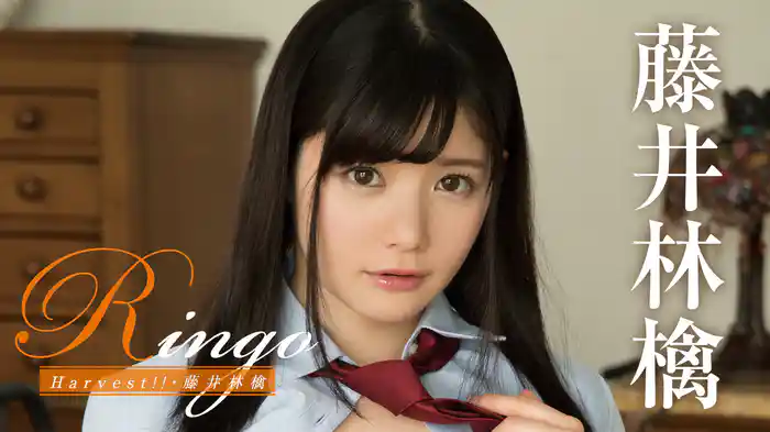 藤井林檎『Ringo Harvest!!』