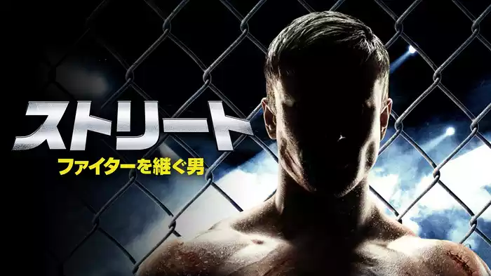ストリート　ファイターを継ぐ男