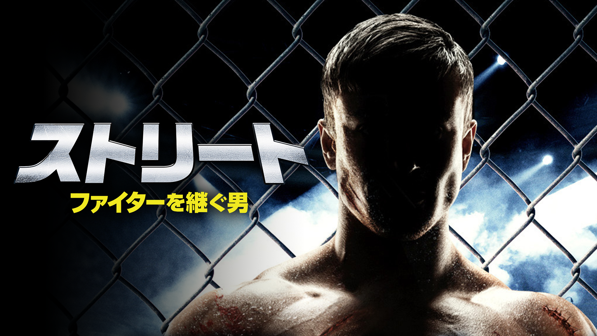 ストリート　ファイターを継ぐ男 - サムネイル