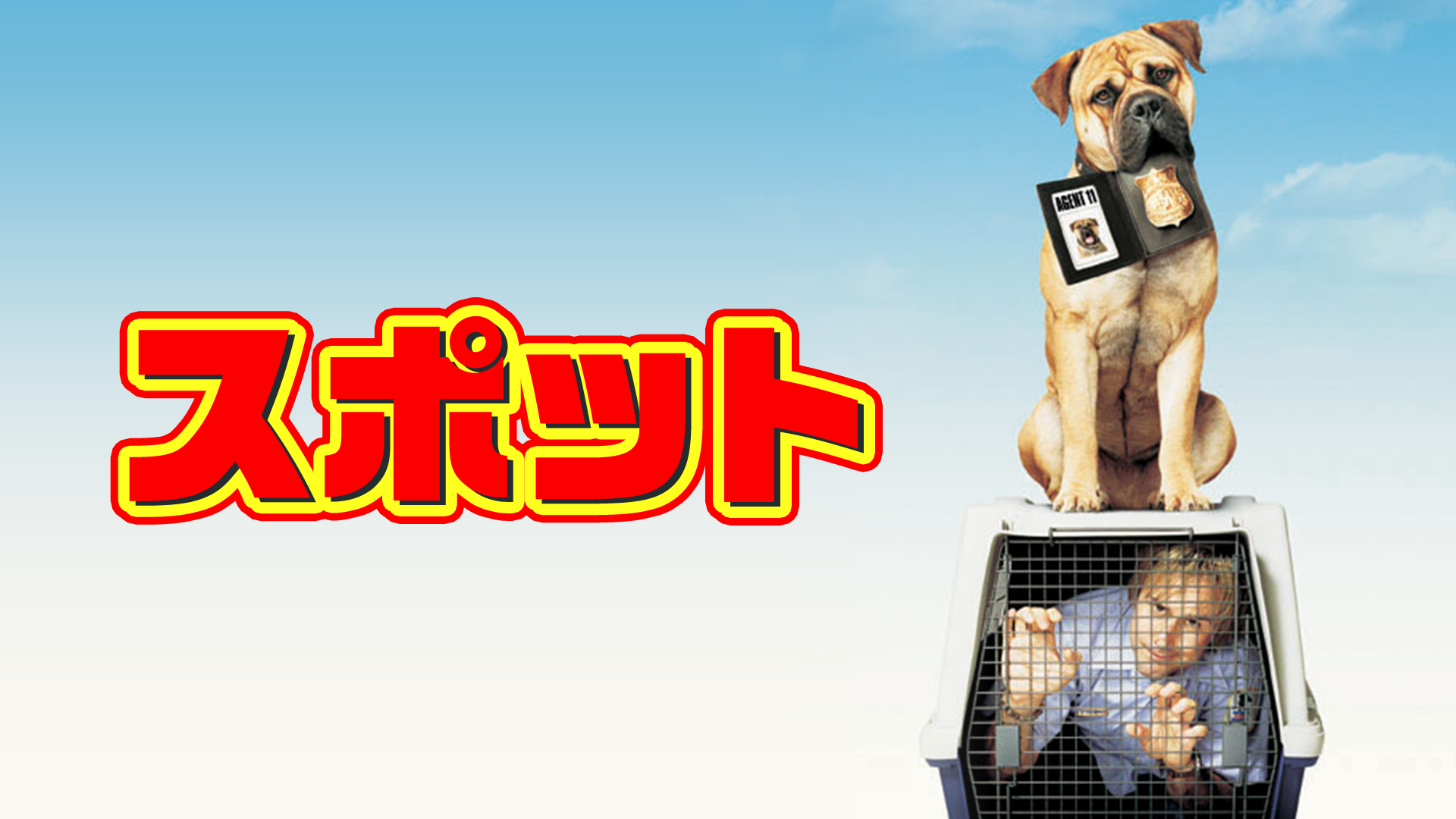 スポット - サムネイル