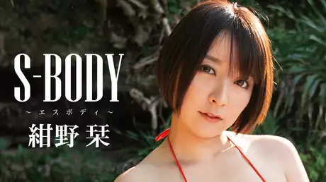 紺野栞『S-BODY』