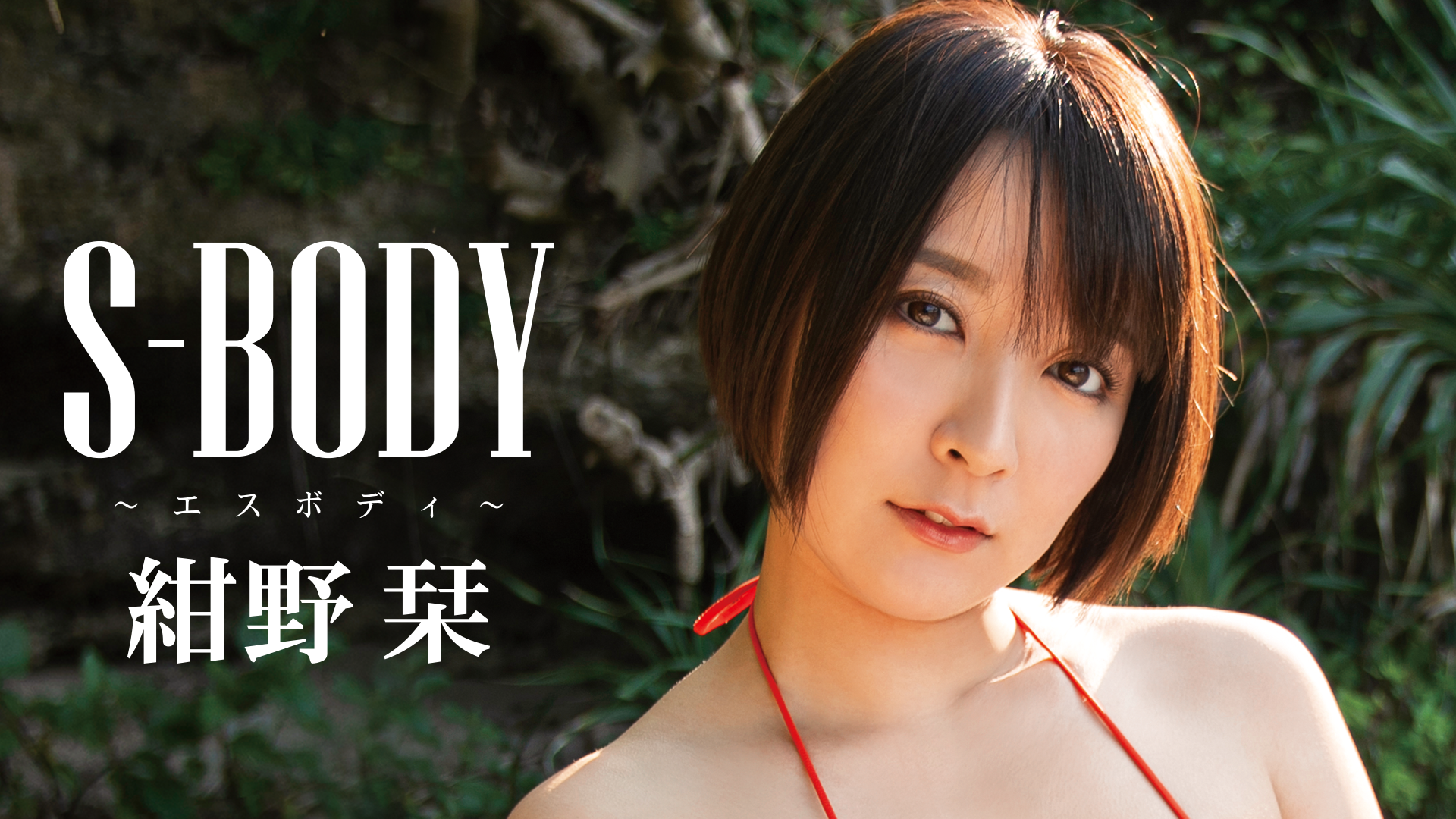 紺野栞 Blu-ray ブルーレイ エスボディ S-BODY - ブルーレイ