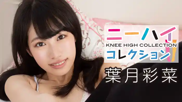 葉月彩菜『ニーハイコレクション ～新章～』
