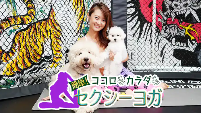 ココロもカラダも　簡単！セクシーヨガ