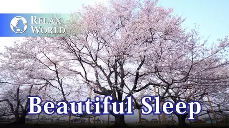 Beautiful Sleep【RELAX WORLD】