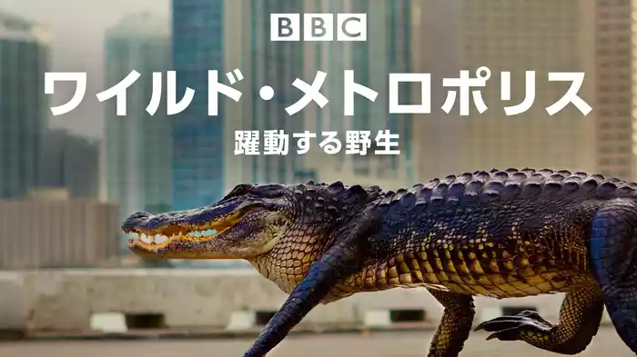 ワイルド・メトロポリス　躍動する野生