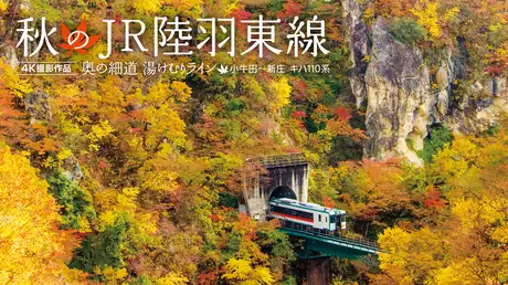 秋のJR陸羽東線 4K撮影