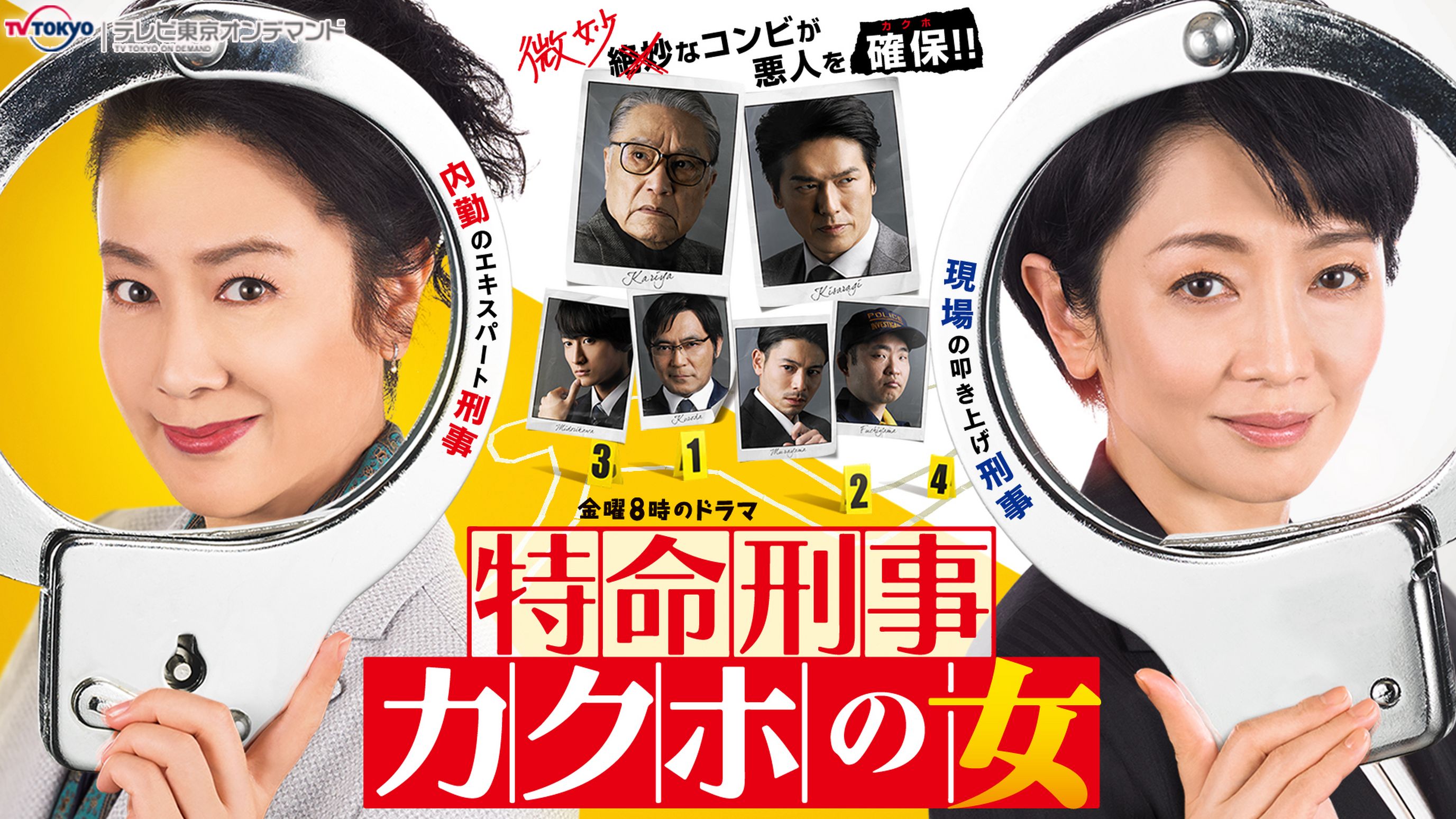 特命刑事カクホの女