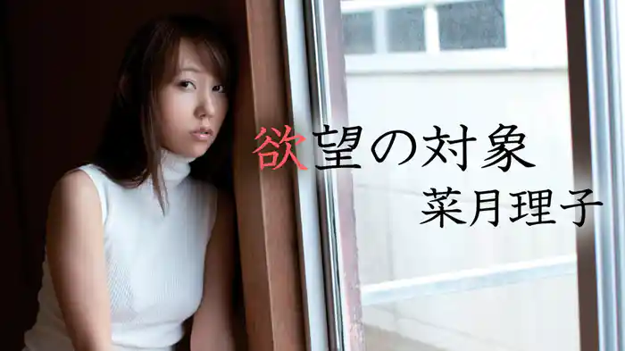 菜月理子『欲望の対象』