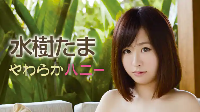 水樹たま『やわらかハニー』