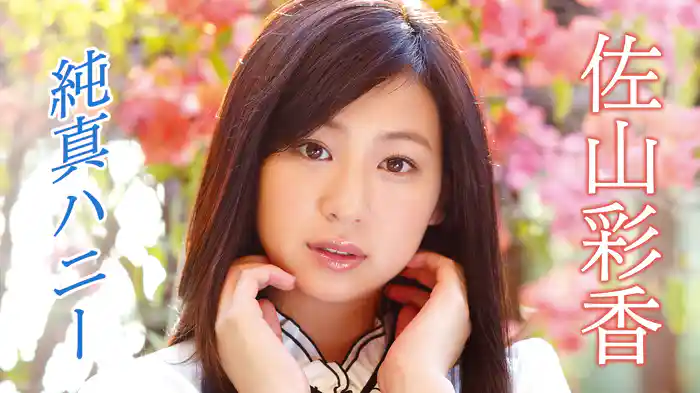 佐山彩香『純真ハニー』