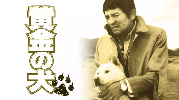 黄金の犬