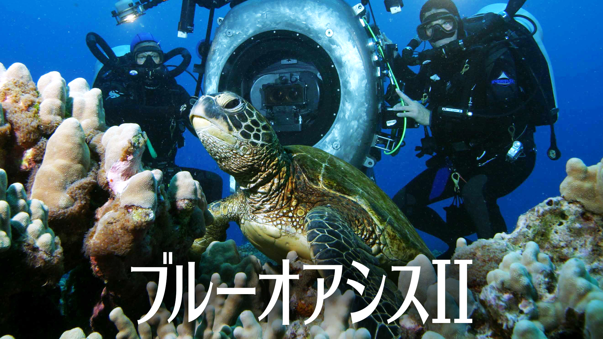 ブルーオアシスII - サムネイル