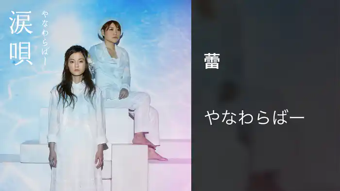 蕾