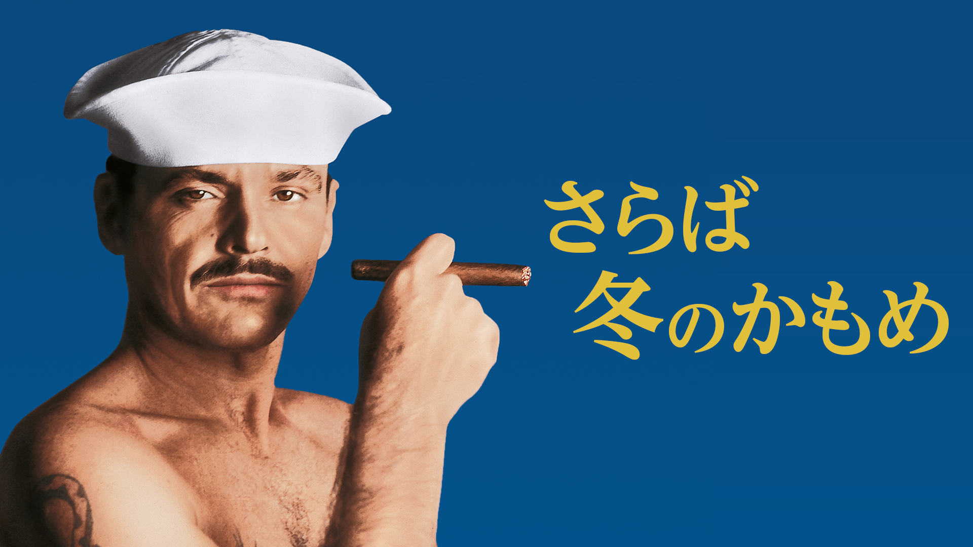 さらば冬のかもめ - サムネイル