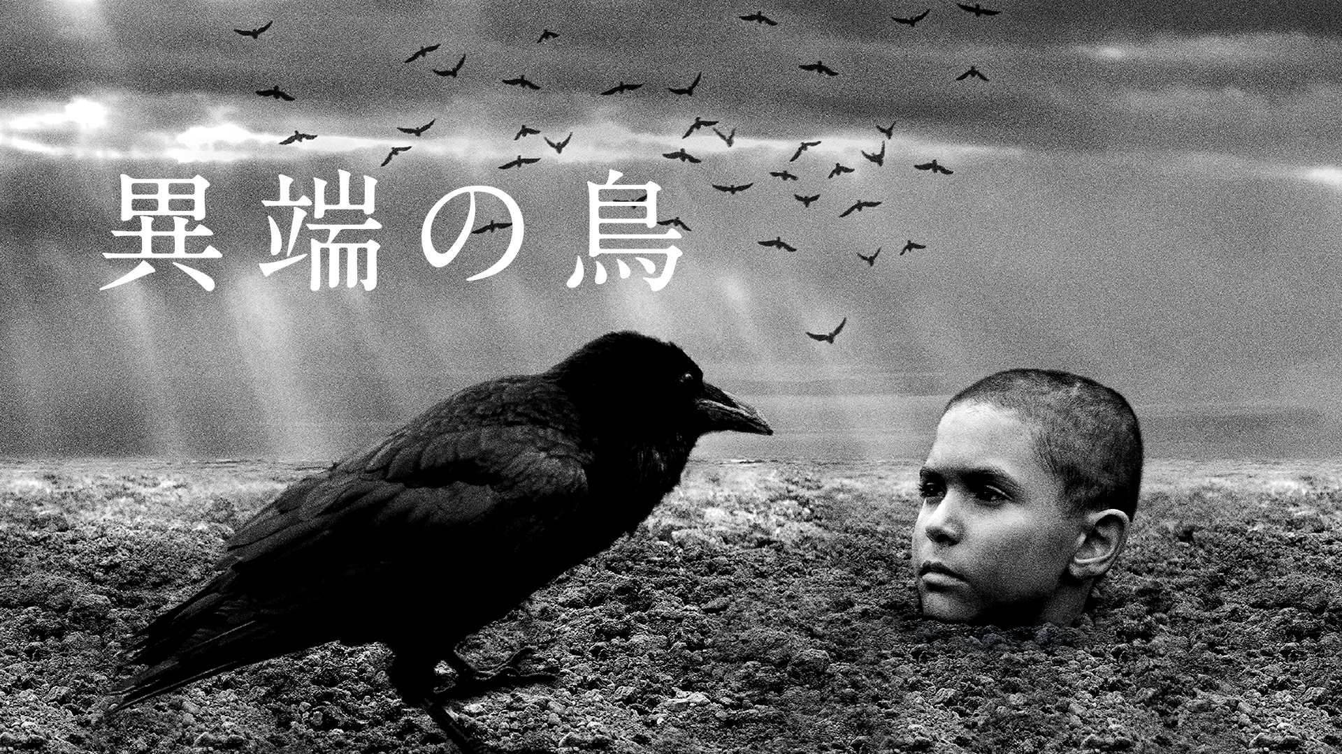 異端の鳥 - サムネイル