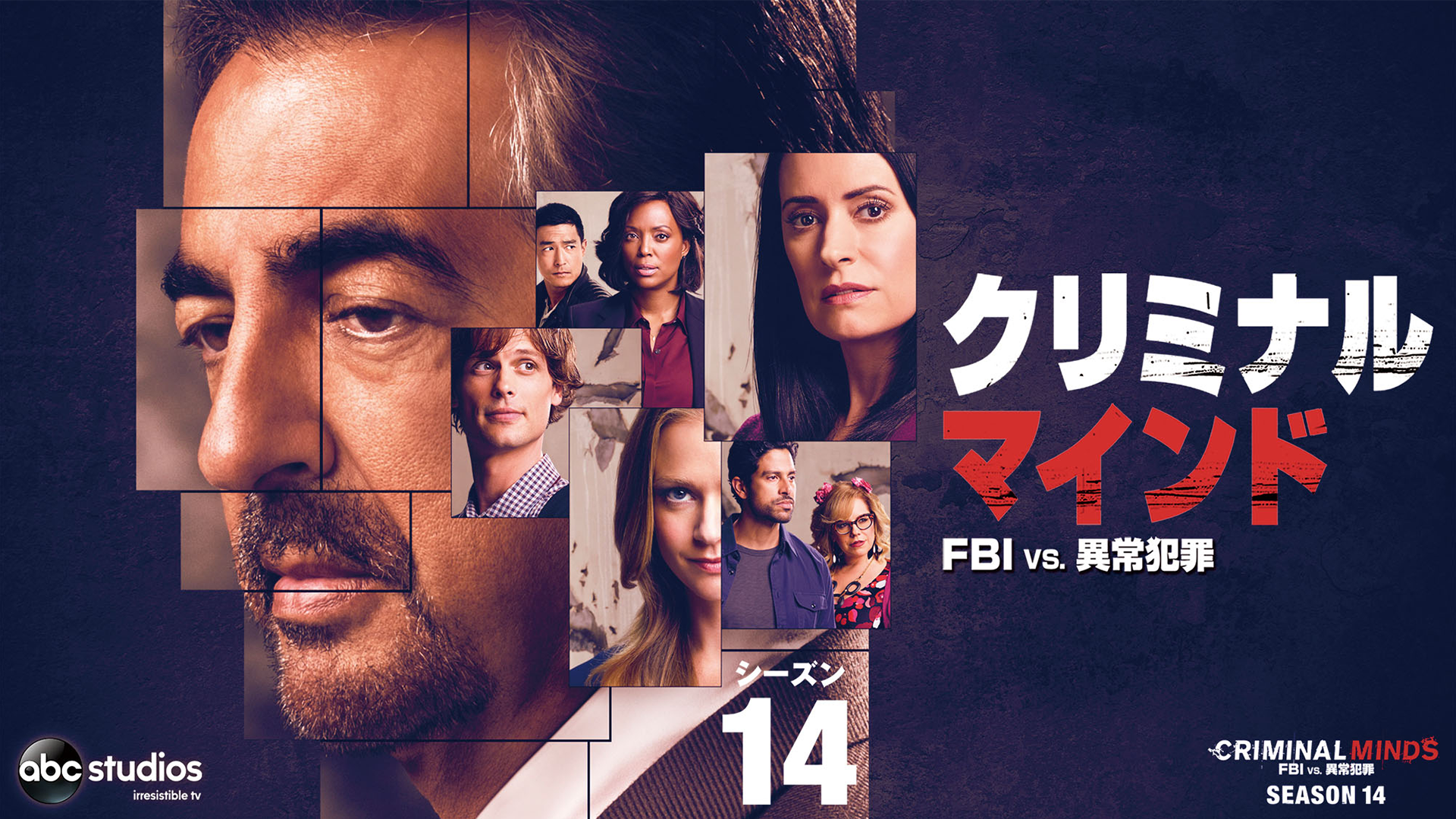 クリミナル・マインド／FBI vs. 異常犯罪 シーズン14