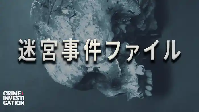 迷宮事件ファイル