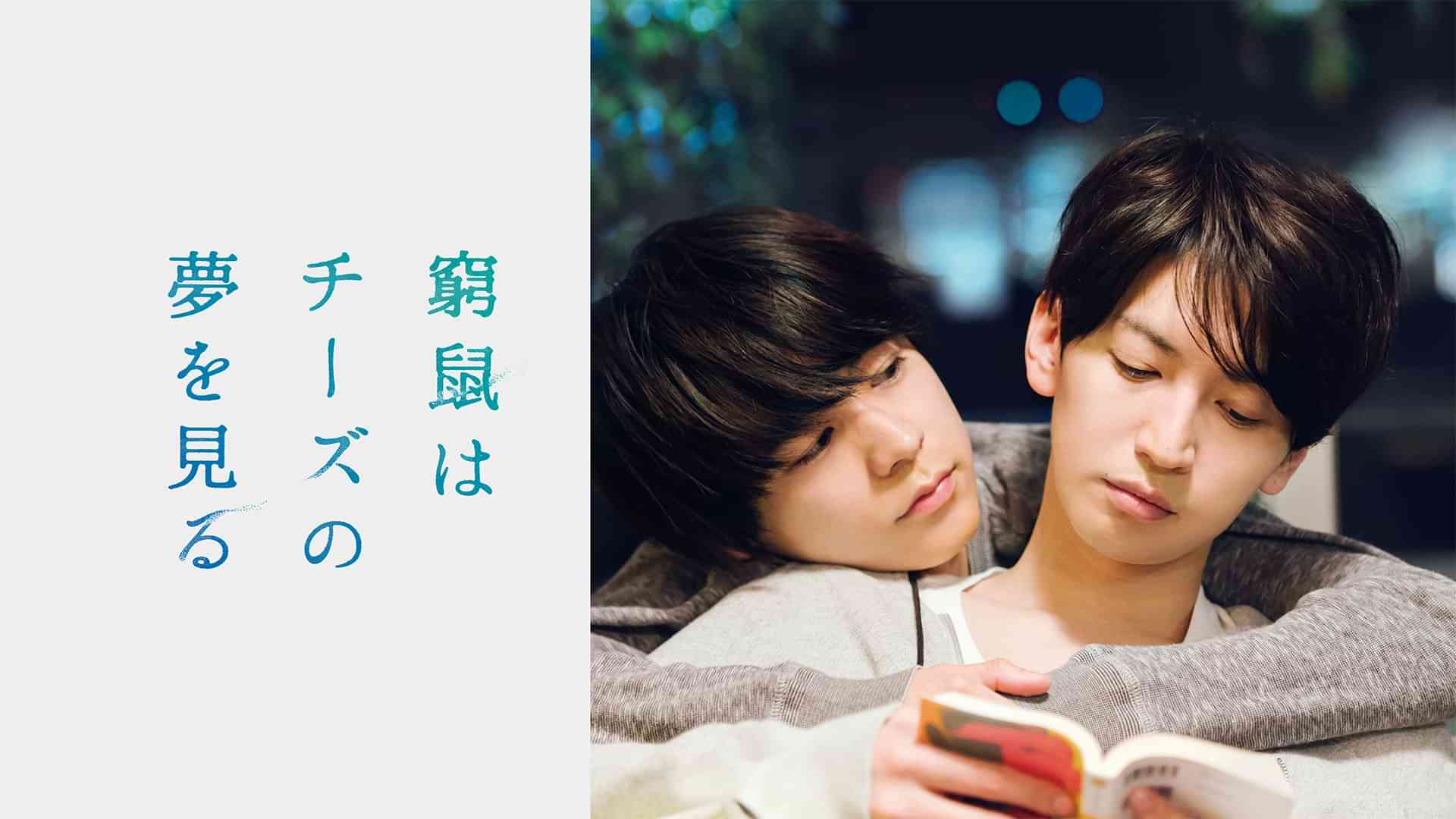 窮鼠はチーズの夢を見る