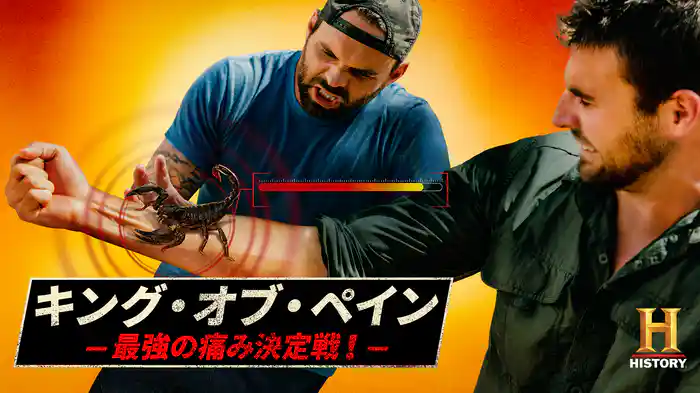 キング・オブ・ペイン -最強の痛み決定戦！-