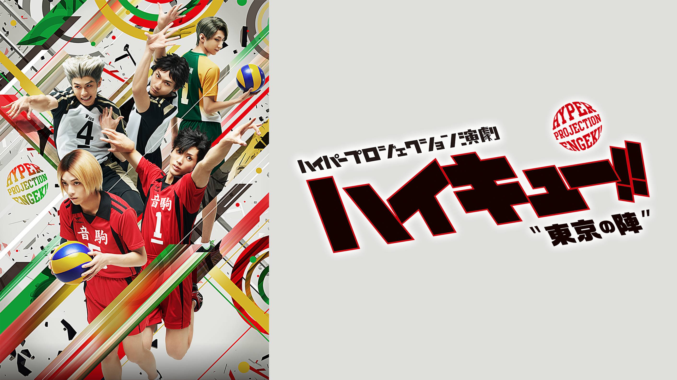 ハイキュー 烏野高校vs白鳥沢学園高校 Oad 特集 春高バレーに賭けた青春 アニメ 17 の動画視聴 U Next 31日間無料トライアル