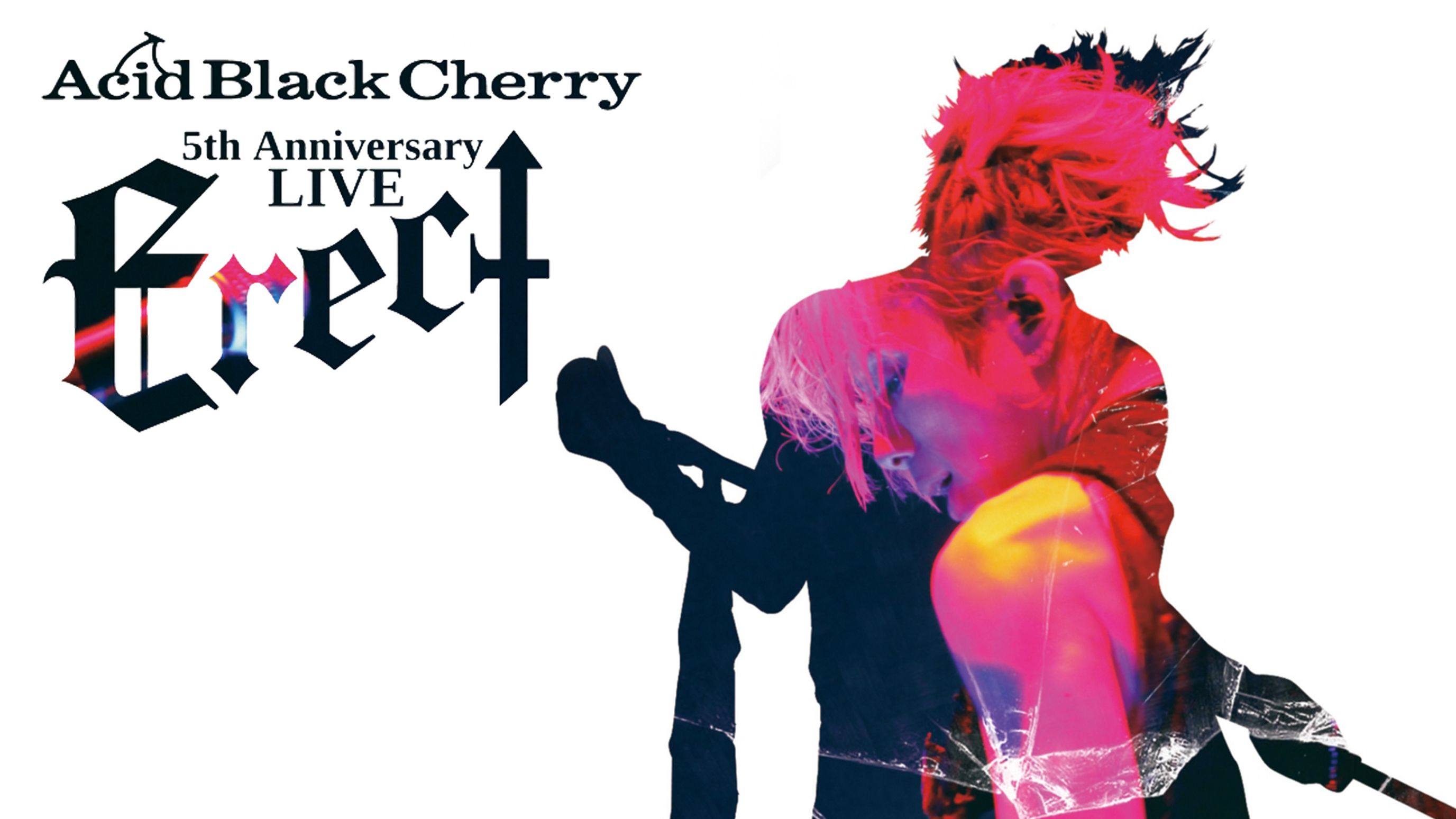 Acid Black Cherry 5th Anniversary Live Erect 音楽 アイドル 12年 の動画視聴 あらすじ U Next
