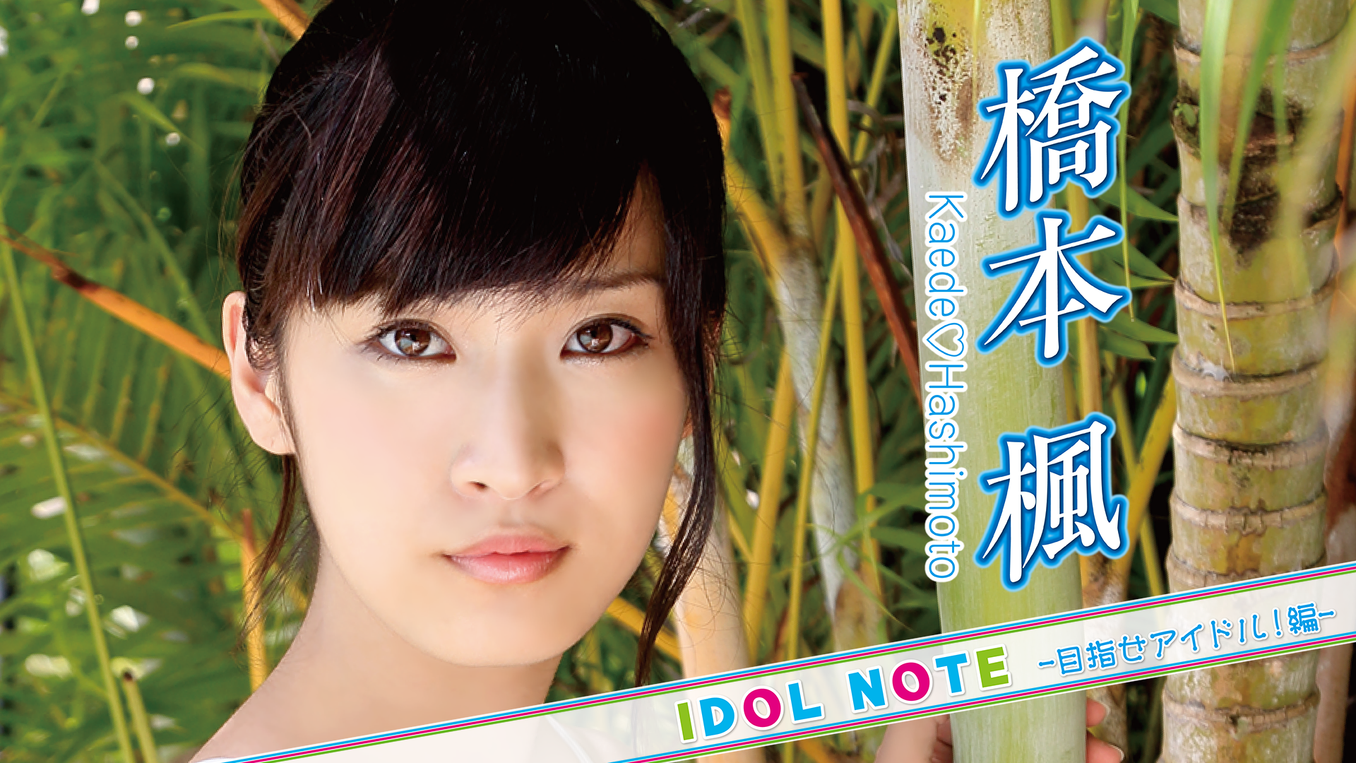 橋本楓『IDOLNOTE～目指せアイドル！編 橋本楓～』(セミアダルト