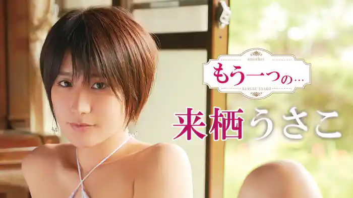 来栖うさこ『もう一つの・・・』