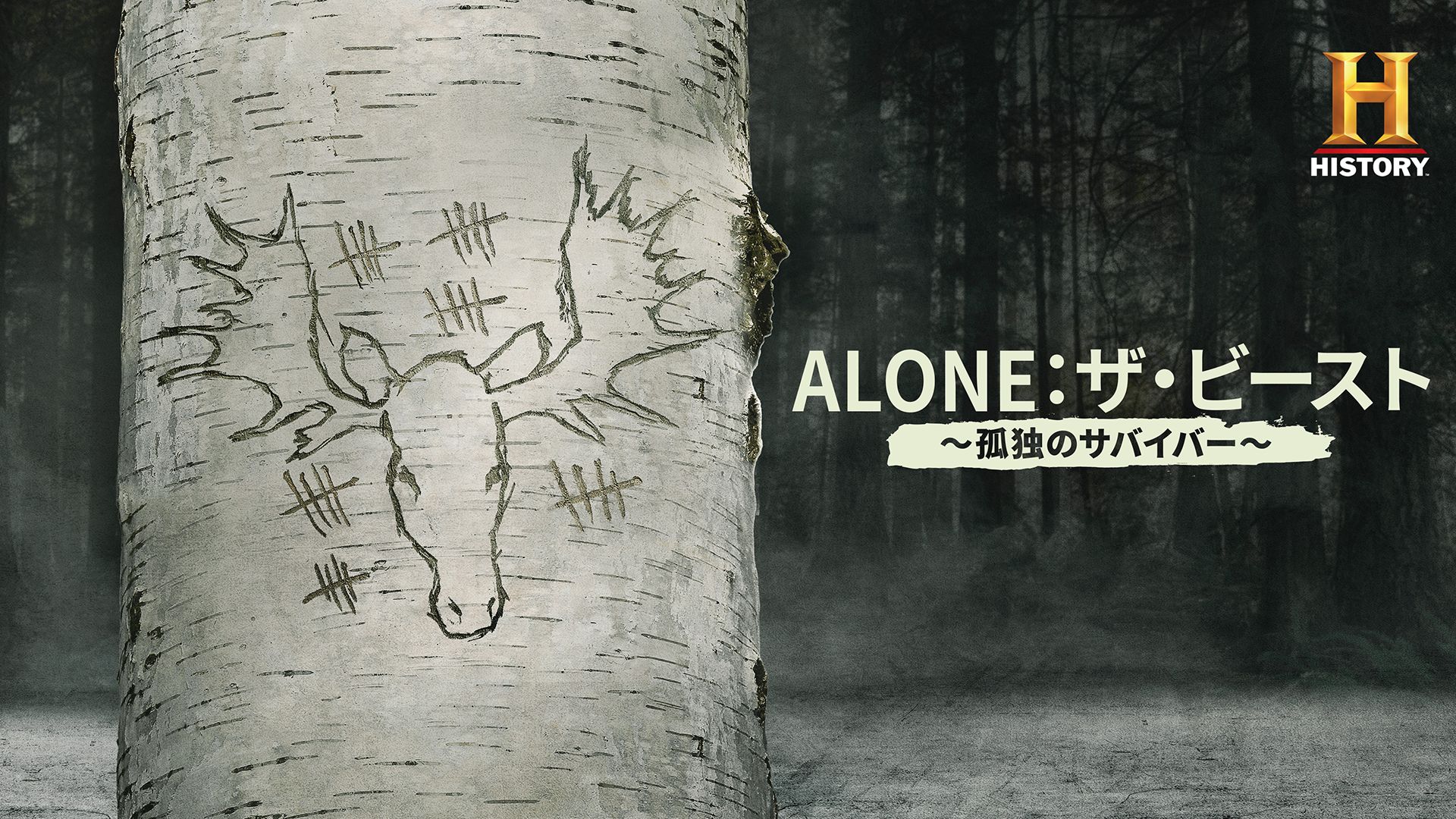 ALONE:ザ･ビースト 〜孤独のサバイバー〜
