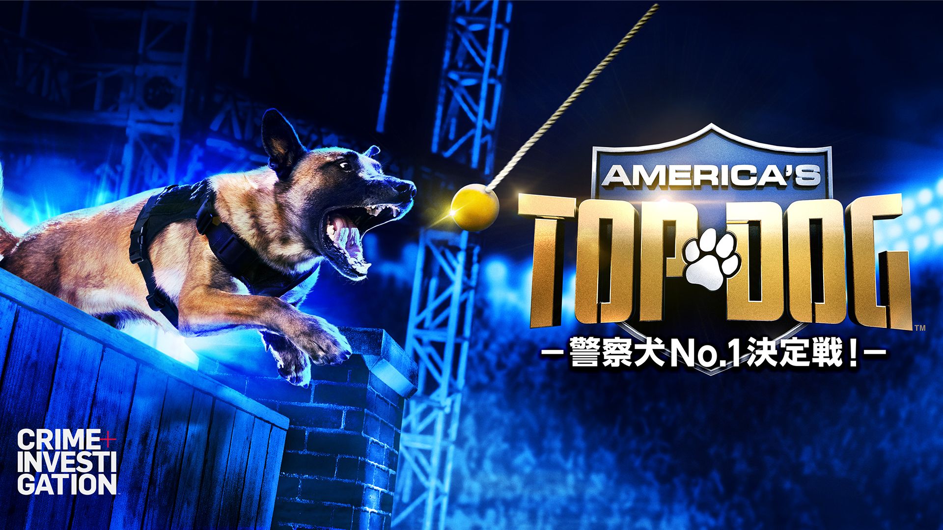 America’s Top Dog -警察犬No.1決定戦!-