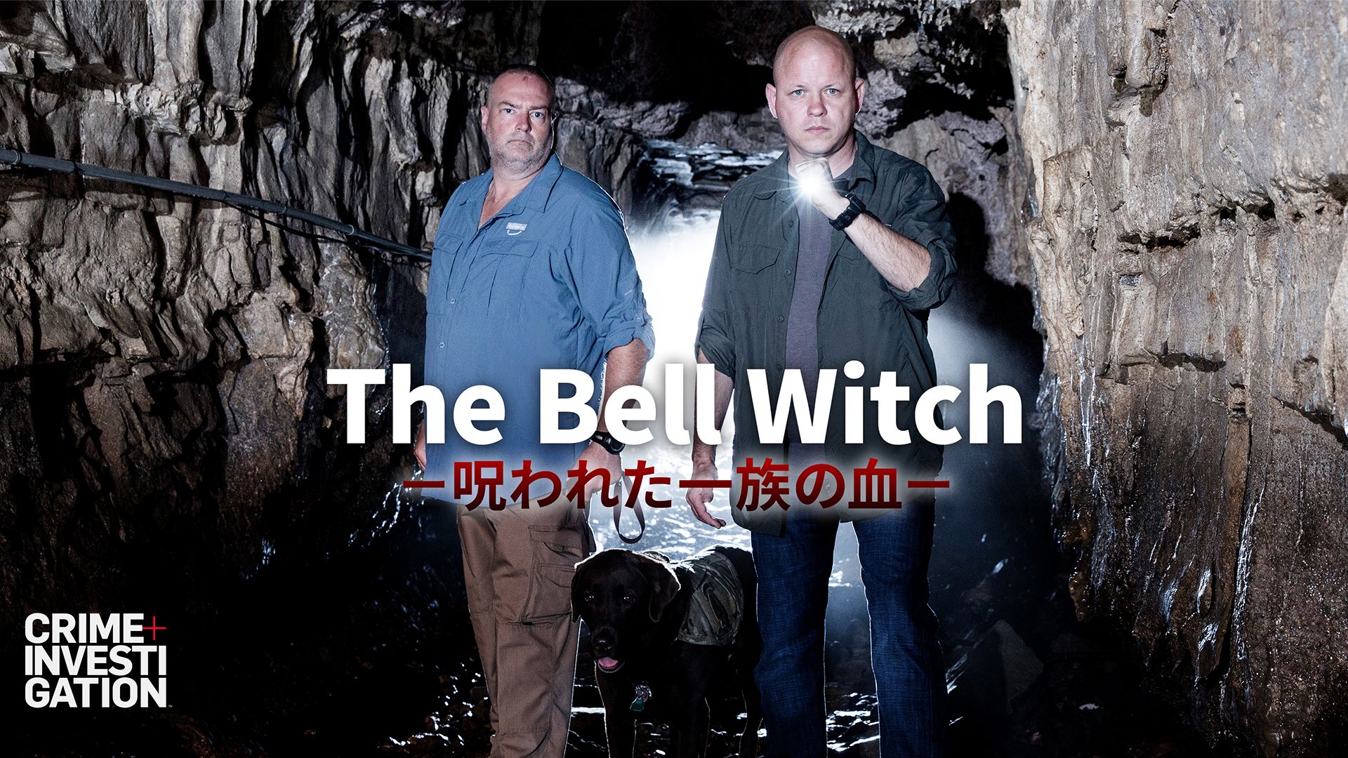 The Bell Witch −呪われた一族の血−