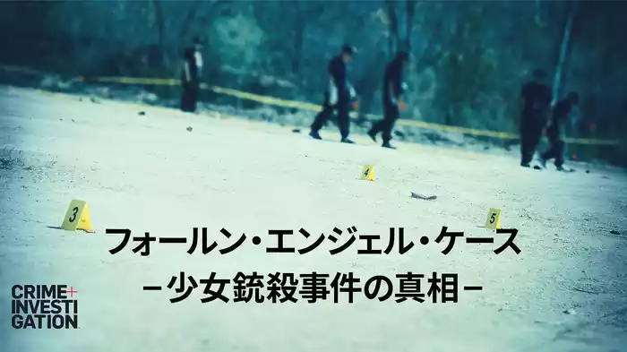 フォールン・エンジェル・ケース -少女銃殺事件の真相-